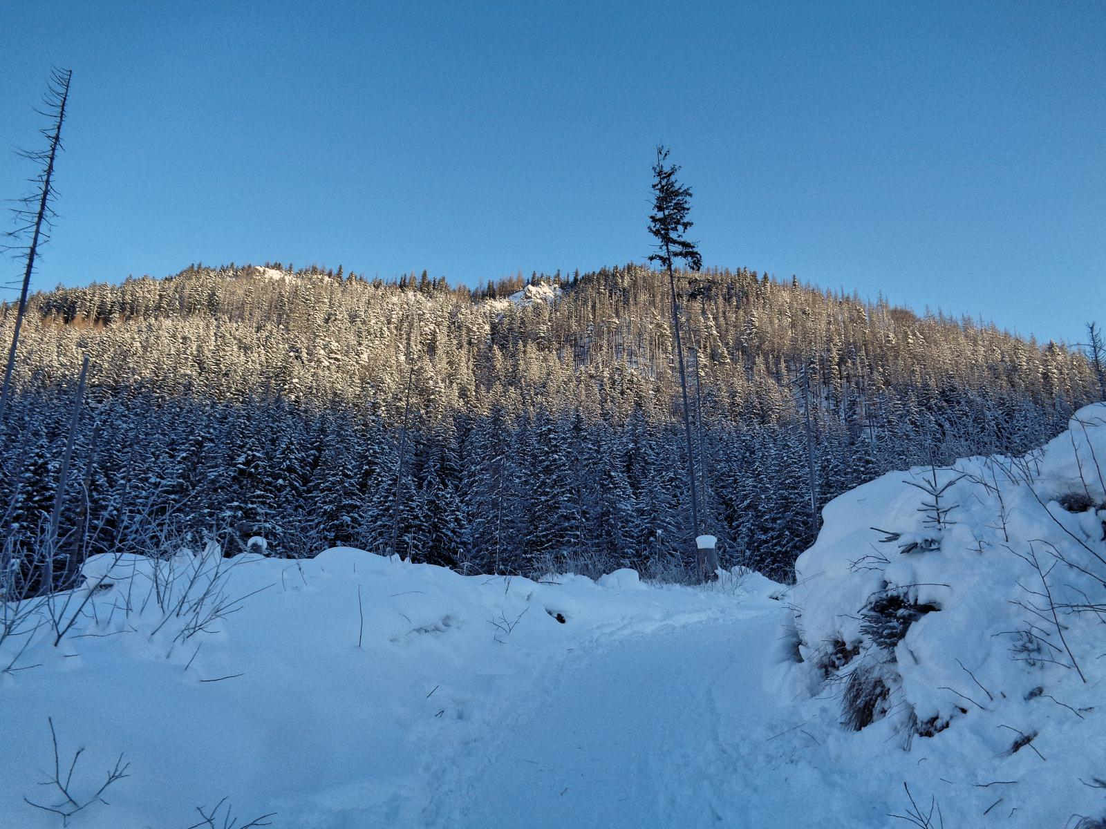 Ferie zimowe w Gliczarowie Górnym